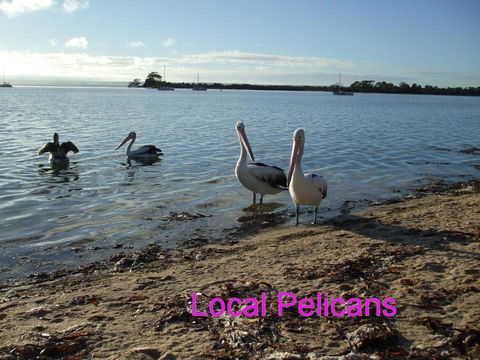 Casuarina Coastal Units - Accommodation Gladstone 23