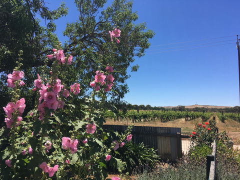 Amy\'s House Bed & Breakfast - Accommodation Gladstone 29