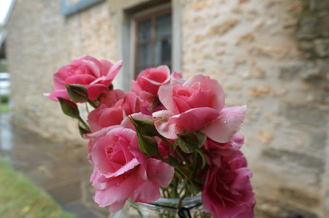 Amy\'s House Bed & Breakfast - Accommodation Gladstone 30