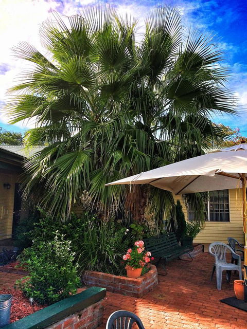 Ten Dollar Town Motel - Accommodation Gladstone 17