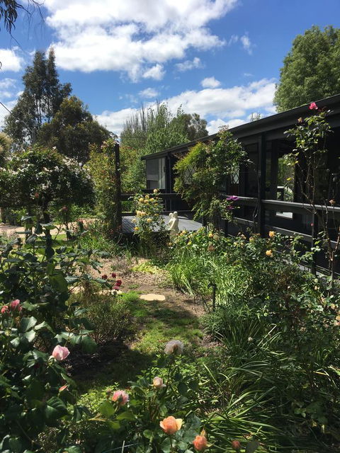 Hilltop Too - Accommodation Gladstone 4