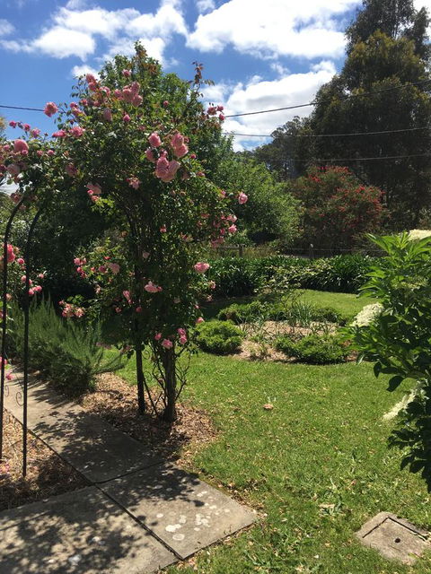 Hilltop Too - Accommodation Gladstone 13