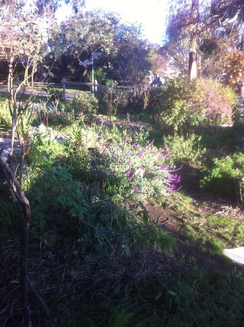 Hilltop Too - Accommodation Gladstone 12