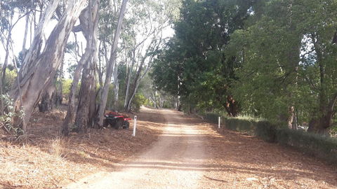 Taralee Orchards - Accommodation Gladstone 4
