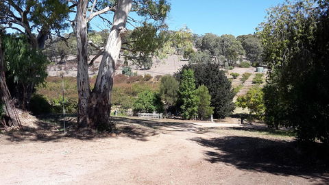 Taralee Orchards - Accommodation Gladstone 3