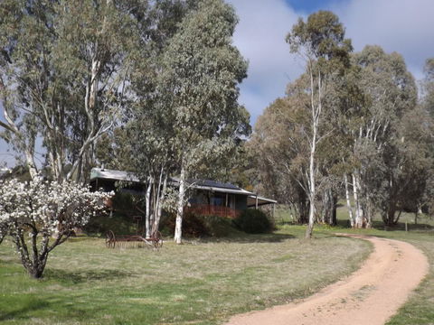 Taralee Orchards - Accommodation Gladstone 9
