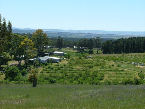 Taralee Orchards - Accommodation Gladstone 0