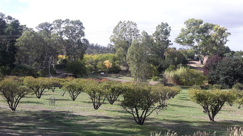 Taralee Orchards - Accommodation Gladstone 1