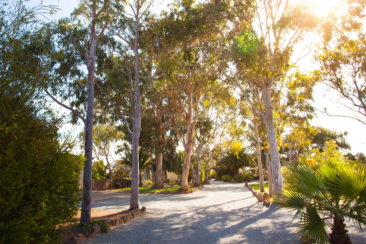  Accommodation Gladstone
