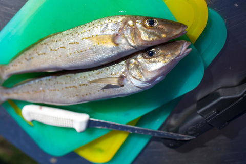 Modra\'s Apartments - Accommodation Gladstone 17