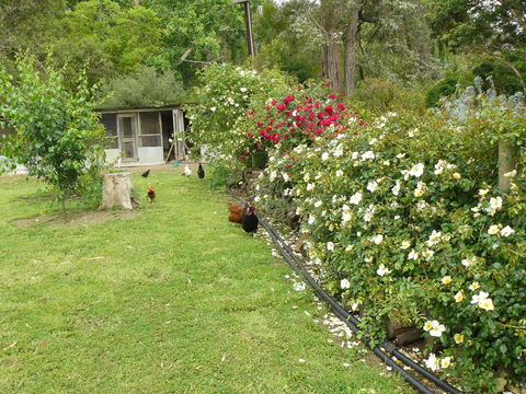 Camawald Coonawarra Cottage B&B - Accommodation Gladstone 3