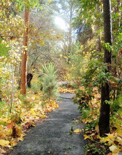 Aldgate Valley Bed And Breakfast - Accommodation Gladstone 43