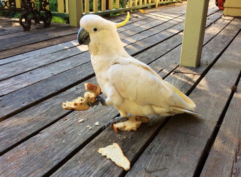 Aldgate Valley Bed And Breakfast - Accommodation Gladstone 40