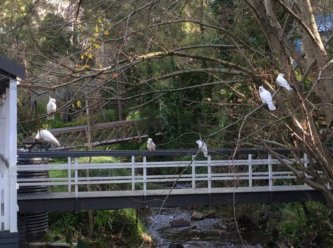 Aldgate Valley Bed And Breakfast - Accommodation Gladstone 41