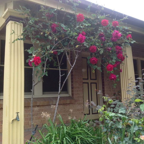 Oats Cottage - Accommodation Gladstone 3