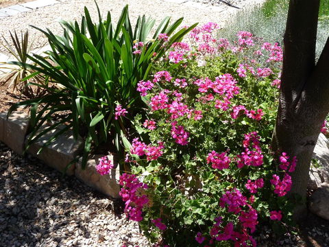 Country Bakehouse Accommodation - Accommodation Gladstone 18