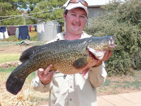 Country Bakehouse Accommodation - Accommodation Gladstone 20