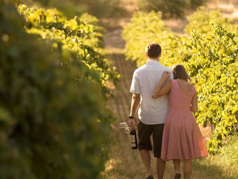 Novotel Barossa Valley Resort - Accommodation Gladstone 40
