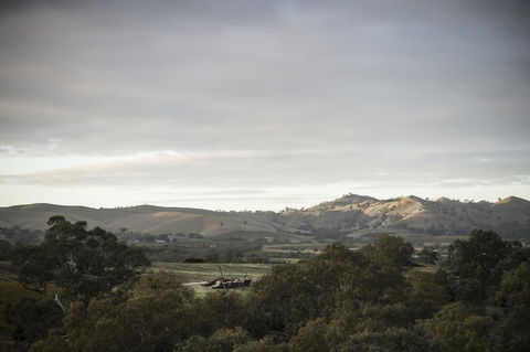 Novotel Barossa Valley Resort - Accommodation Gladstone 23