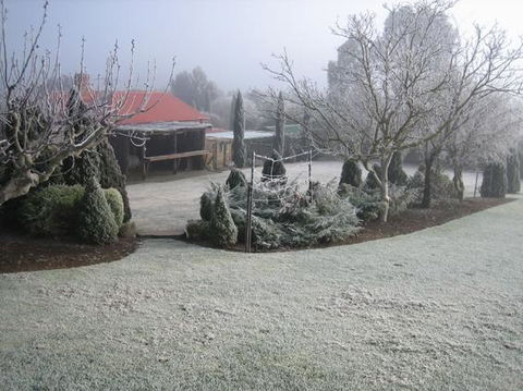 Vineyard Cottage BnB - Accommodation Gladstone 15