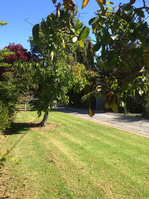 Vineyard Cottage BnB - Accommodation Gladstone 17