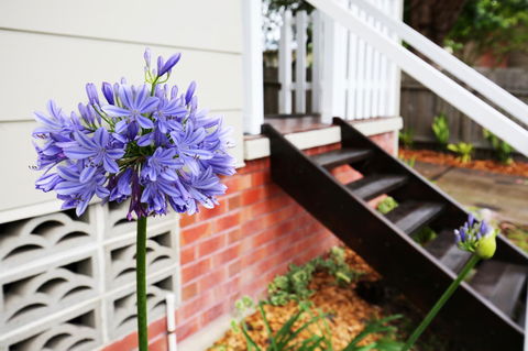 Hudson Bay @ Basin View-Pet Friendly-15 Mins To Hyams Beach - Accommodation Gladstone 38