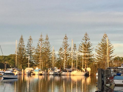 Brunswick Heads Treetop Studio - Accommodation Gladstone 24