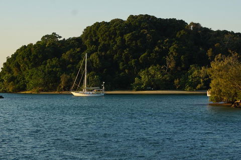 Brunswick Heads Treetop Studio - Accommodation Gladstone 9