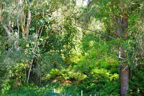 Brunswick Heads Treetop Studio - Accommodation Gladstone 20