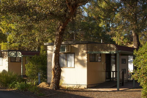 BIG 4 Barossa Tourist Park - Accommodation Gladstone 33