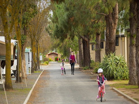 BIG 4 Barossa Tourist Park - Accommodation Gladstone 36