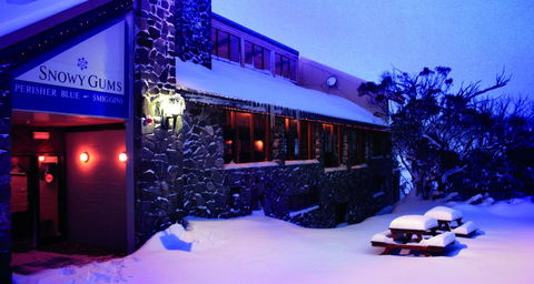 Snowy Gums Chalet - Accommodation Gladstone 3
