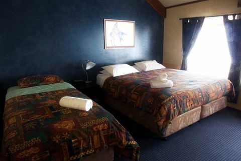 Snowy Gums Chalet - Accommodation Gladstone 13