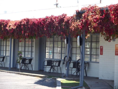 Guichen Bay Motel - Accommodation Gladstone 23