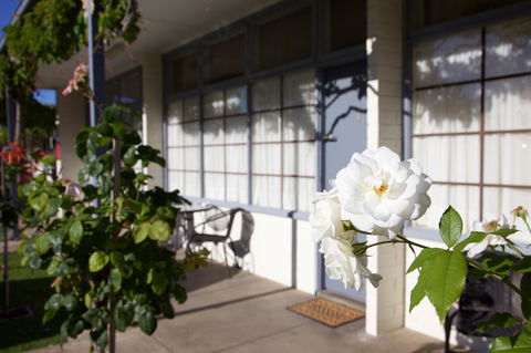 Guichen Bay Motel - Accommodation Gladstone 33