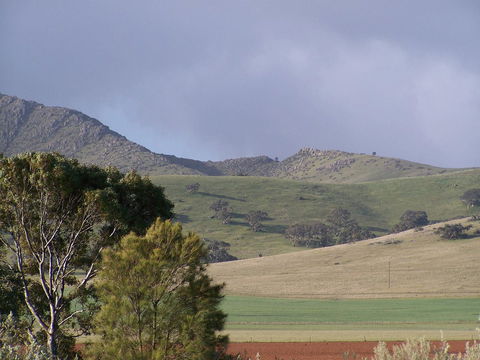 Burra Motor Inn - Accommodation Gladstone 32