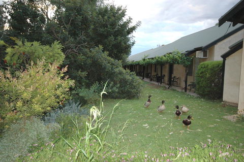 Burra Motor Inn - Accommodation Gladstone 24