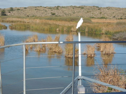 PS Federal Retreat Paddle Steamer Goolwa - Accommodation Gladstone 11