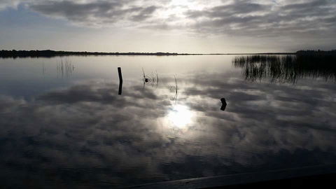 PS Federal Retreat Paddle Steamer Goolwa - Accommodation Gladstone 16