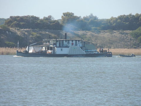 PS Federal Retreat Paddle Steamer Goolwa - Accommodation Gladstone 10
