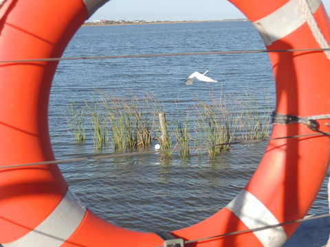PS Federal Retreat Paddle Steamer Goolwa - Accommodation Gladstone 18