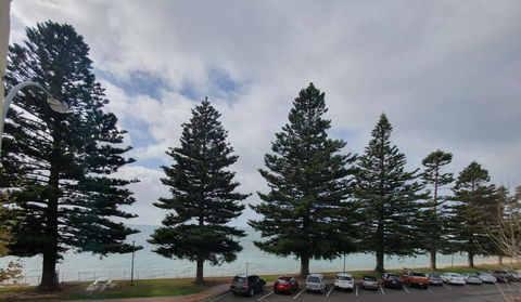 Pier Hotel Port Lincoln - Accommodation Gladstone 12