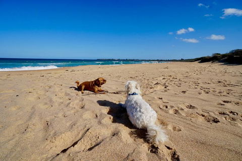 Culburra Beachhouse - Accommodation Gladstone 8