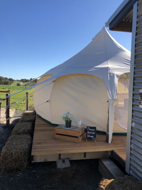 Bukirk Glamping & Fancy Coops - Accommodation Gladstone 11
