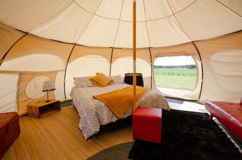 Bukirk Glamping & Fancy Coops - Accommodation Gladstone 8
