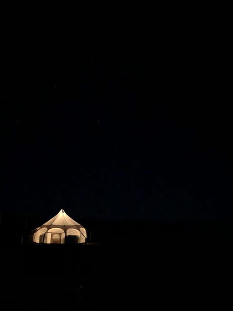 Bukirk Glamping & Fancy Coops - Accommodation Gladstone 16