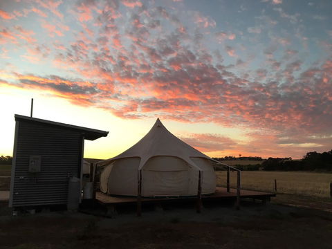 Bukirk Glamping & Fancy Coops - Accommodation Gladstone 24