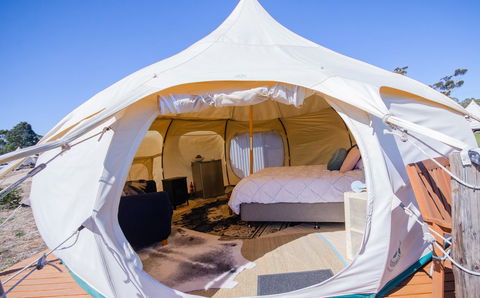 Bukirk Glamping & Fancy Coops - Accommodation Gladstone 7