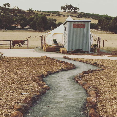 Bukirk Glamping & Fancy Coops - Accommodation Gladstone 26