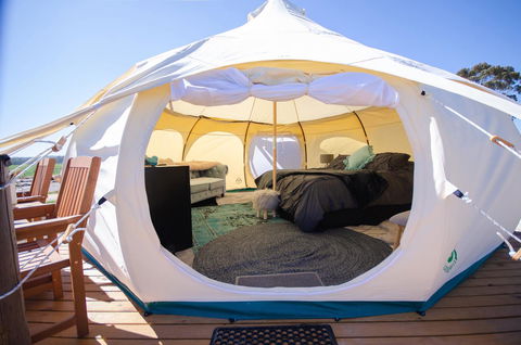 Bukirk Glamping & Fancy Coops - Accommodation Gladstone 14